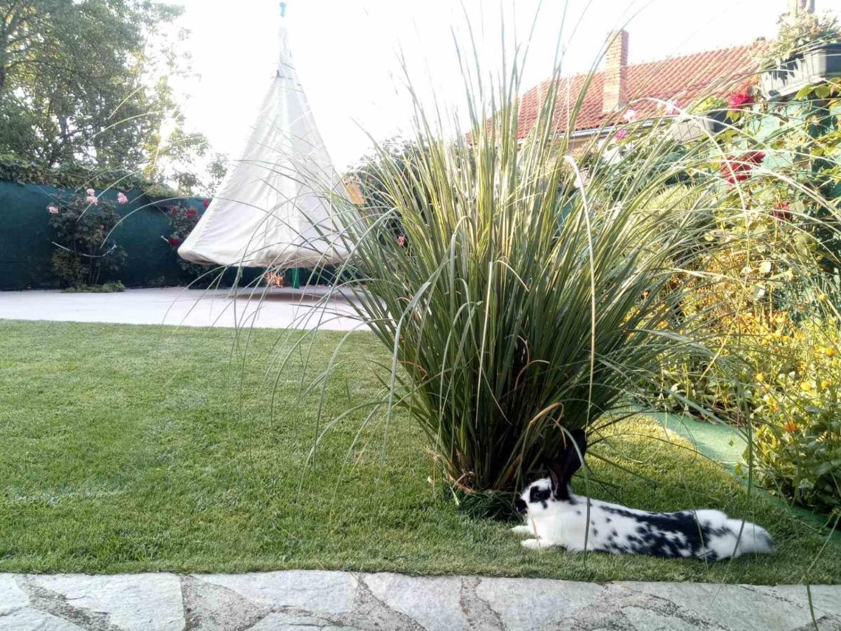 Yard House Trpejca Otel Ohri Dış mekan fotoğraf