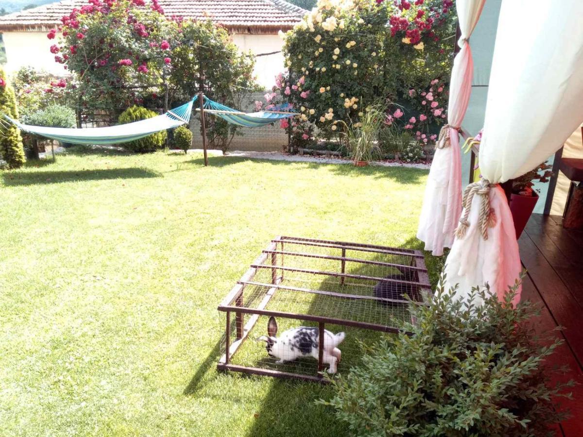 Yard House Trpejca Otel Ohri Dış mekan fotoğraf